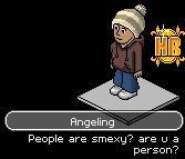 drewsdp.jpg